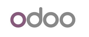 Integración de Odoo con campañas Google Ads para medir leads, ventas y procesos comerciales