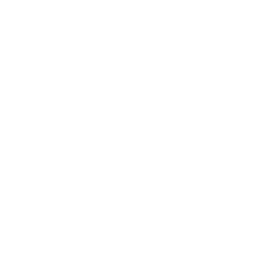Datos protegidos en formulario de desarrollo de software de Innomobs
